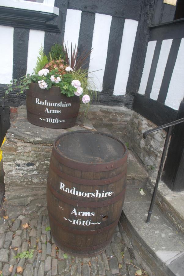 The Radnorshire Arms Hotel Presteigne Εξωτερικό φωτογραφία